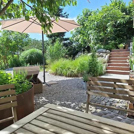 Filipponi's Traeumli Ruthi