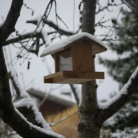 Filipponi's Traeumli