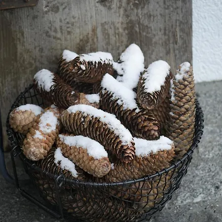 Filipponi's Traeumli Apartament *