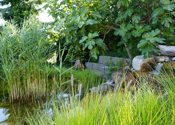 Filipponi's Traeumli 公寓 *