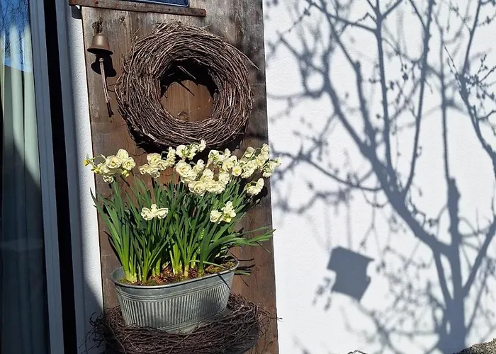 Filipponi's Traeumli *