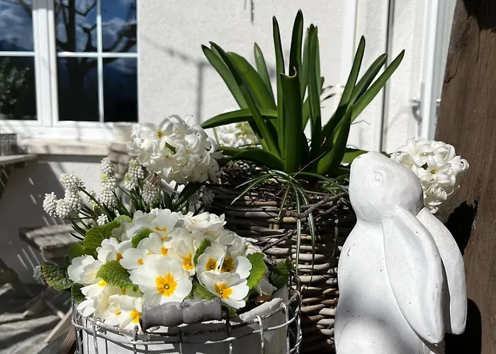 Filipponi's Traeumli Apartament Ruthi