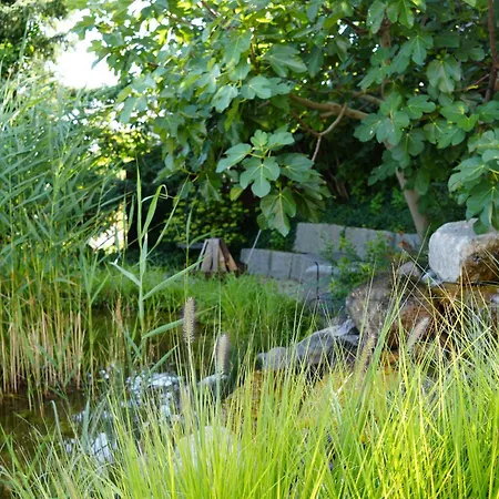 Filipponi's Traeumli Apartament *