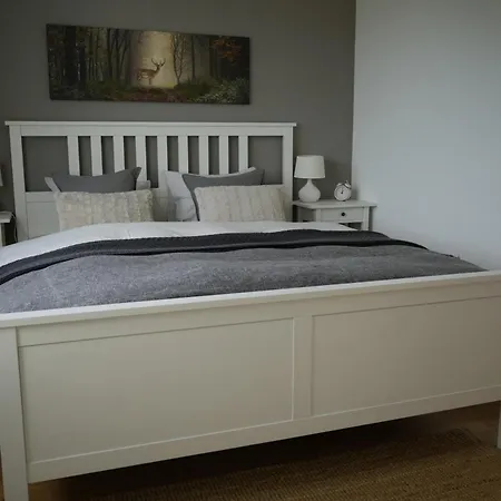 Daire Filipponi's Traeumli *