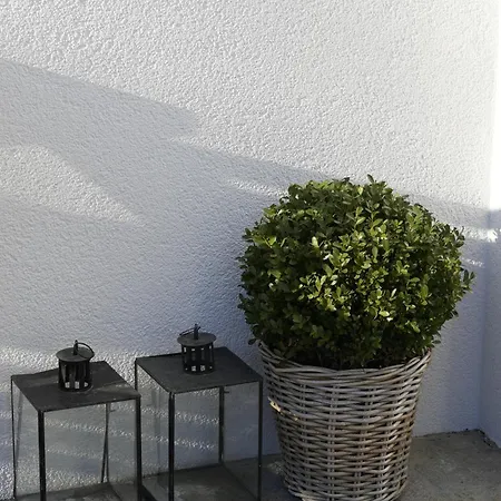 Filipponi's Traeumli