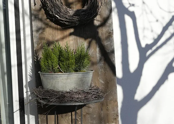 Filipponi's Traeumli Appartement Ruthi