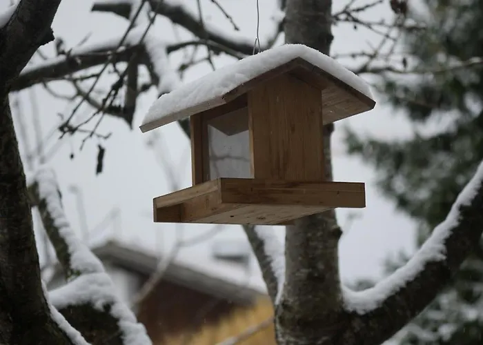 Filipponi's Traeumli