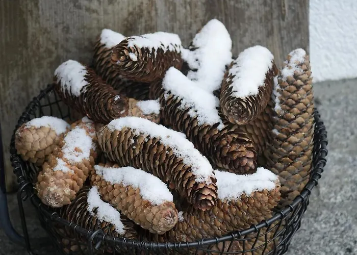 Filipponi's Traeumli Apartament *