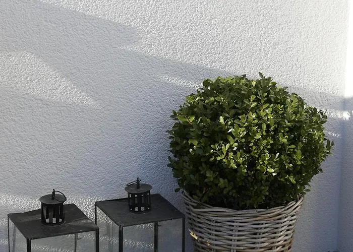 Filipponi's Traeumli